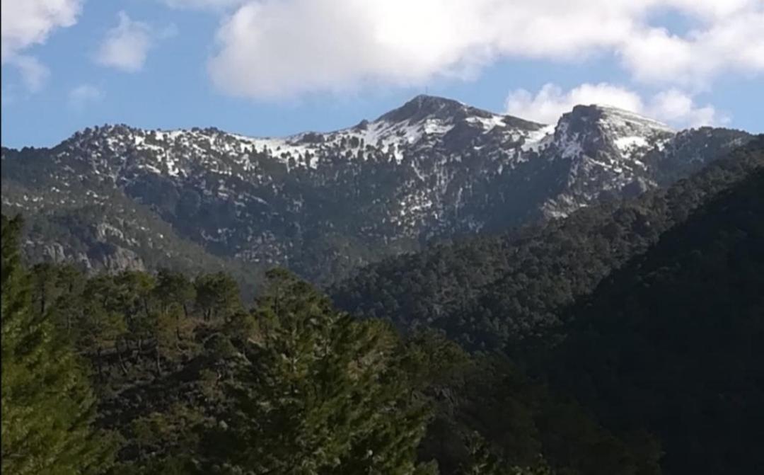Casa Rural La Piedra Del Cambron Villaverde De Guadalimar 외부 사진
