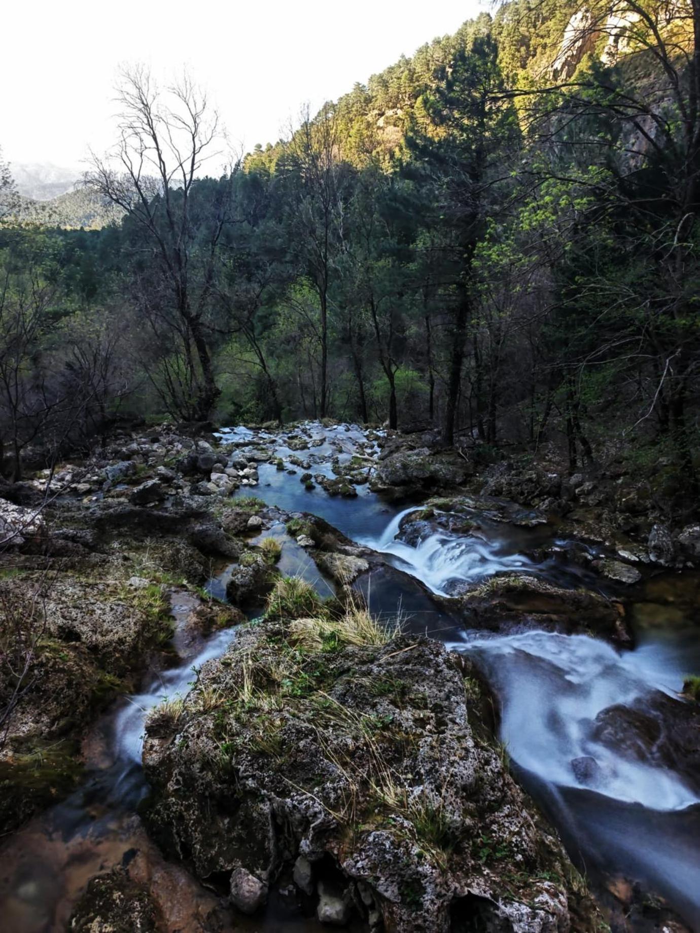 Casa Rural La Piedra Del Cambron Villaverde De Guadalimar 외부 사진